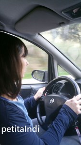 Sin_miedo_PetitaIndi